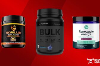 Strongest Pre-Exercise: The Finest Excessive-Stim Picks of 2025